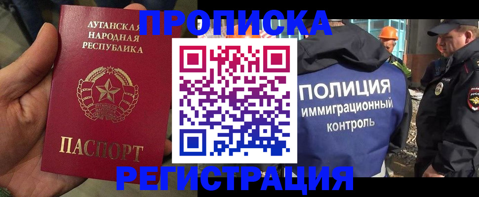 прописка поиск в Тайшете